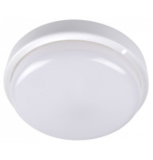 Накладной светильник Jazzway  ДПО-1044 15w 4000K IP54