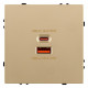 Розетка 2хUSB type A и C без рамки Kollinger Eclipse EC-024GD