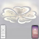 Потолочная люстра Natali Kovaltseva Core LED Lamps 81120/5C