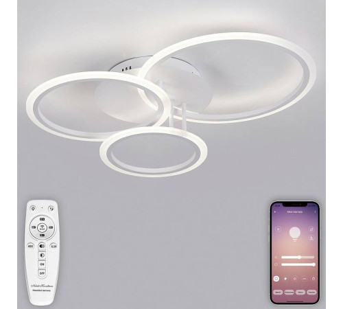 Потолочная люстра Natali Kovaltseva Pure LED LAMPS 81175