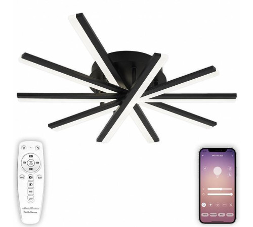 Потолочная люстра Natali Kovaltseva Line LED LAMPS 81174