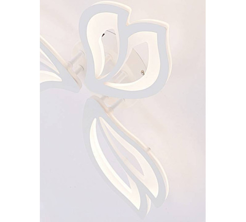 Потолочная люстра Natali Kovaltseva FORTUNA LED LAMPS 81107/2C