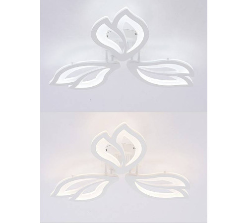 Потолочная люстра Natali Kovaltseva FORTUNA LED LAMPS 81107/2C