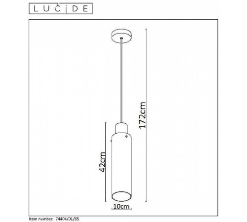 Подвесной светильник Lucide Orlando 74404/01/65
