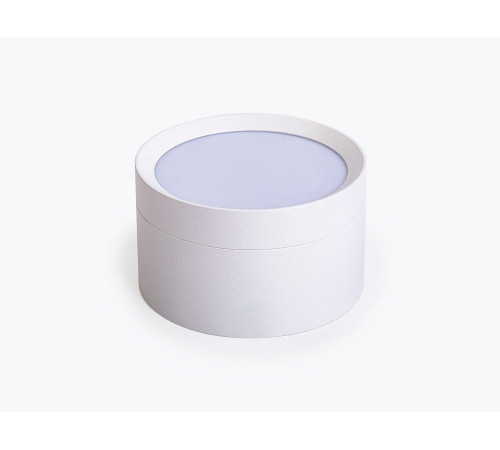 Накладной светильник LEDS POWER SPOT 009384