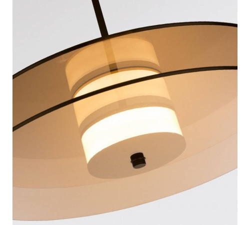 Подвесной светильник LIGHTERA Echuka LE142L-38BR