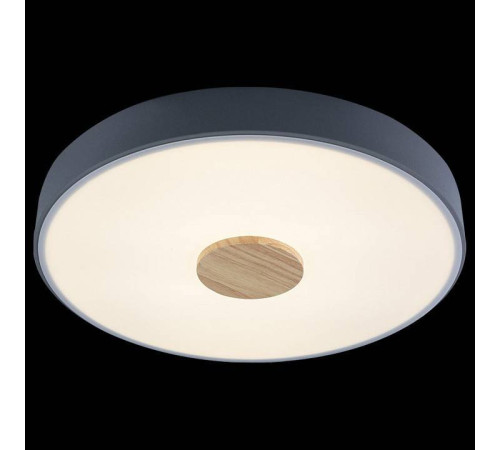 Накладной светильник Loft it Axel 2 10003/24 Grey