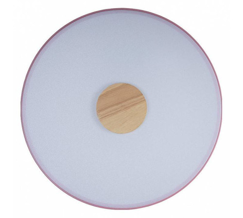 Накладной светильник Loft it Axel 2 10003/24 Pink