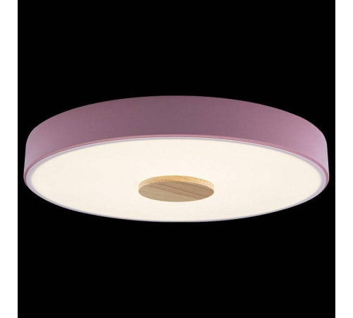 Накладной светильник Loft it Axel 2 10003/24 Pink