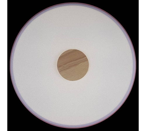 Накладной светильник Loft it Axel 2 10003/24 Pink