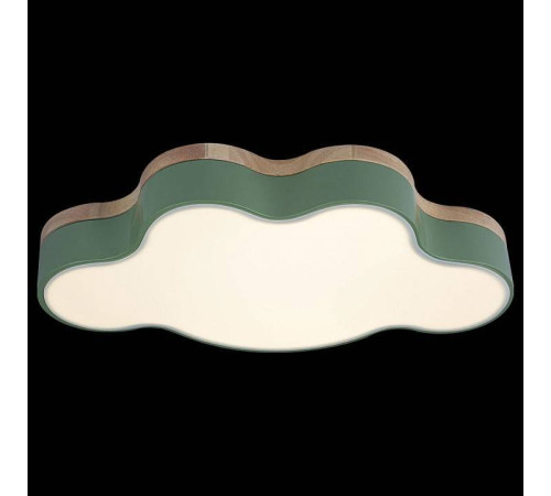 Накладной светильник Loft it Axel 4 10005/30 Green