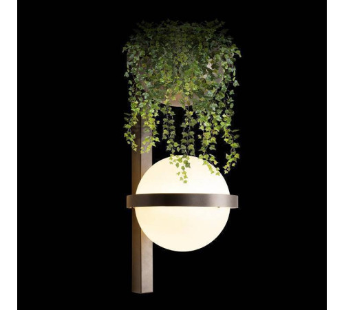 Бра Loft it Jardin 10121W/B Dark grey