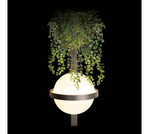 Бра Loft it Jardin 10121W/B Dark grey