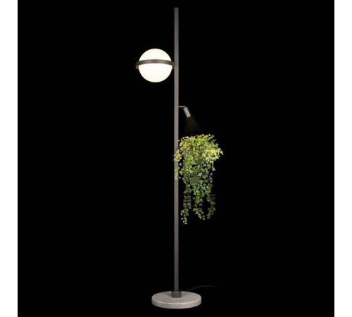 Торшер Loft it Jardin 10121/F Dark grey