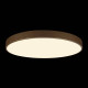 Накладной светильник Loft it Flims 10228/B