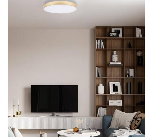 Накладной светильник Loft it Flims 10228/B