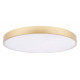 Накладной светильник Loft it Flims 10228/B
