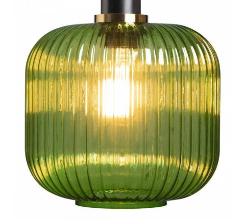 Подвесной светильник Loft it Iris 2 2072-B+BL