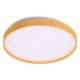 Накладной светильник Luminarte Starwood CLL46