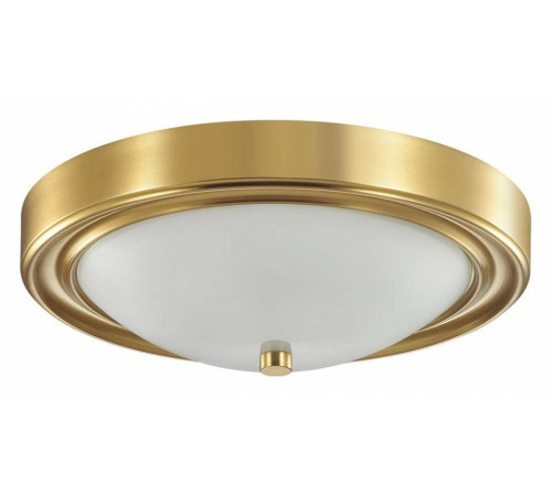 Накладной светильник Lumion Nina 5259/2C