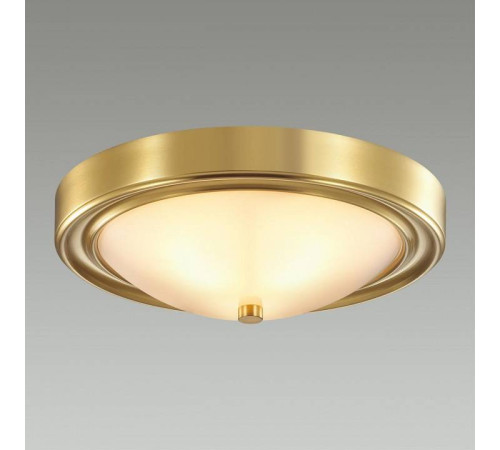 Накладной светильник Lumion Nina 5259/2C