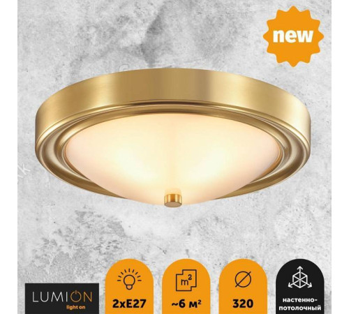 Накладной светильник Lumion Nina 5259/2C