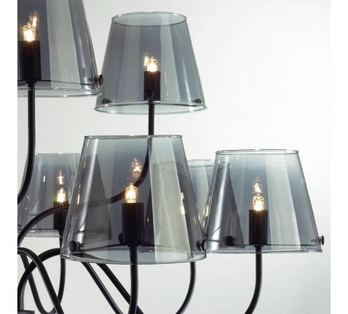 Люстра на штанге Lumion Smoky 6570/12C