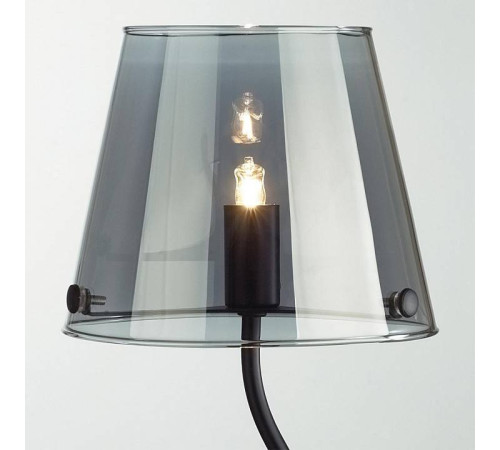 Настольная лампа декоративная Lumion Smoky 6570/1T