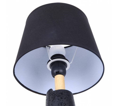 Настольная лампа декоративная Lumion Visiona 8209/1T