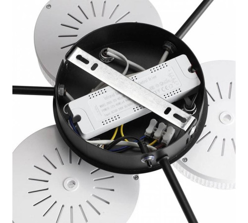 Потолочная люстра Lumion Didana 8236/6CL