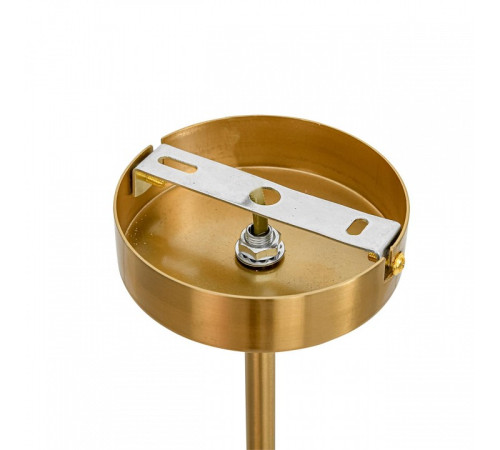 Люстра на штанге Lumion DENVER 8276/8