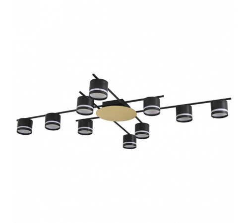 Потолочная люстра Lumion BENUA 8304/10C