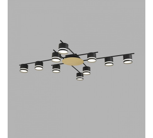 Потолочная люстра Lumion BENUA 8304/10C