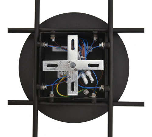 Потолочная люстра Lumion BENUA 8304/10C