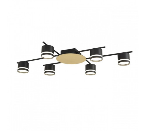 Потолочная люстра Lumion BENUA 8304/6C