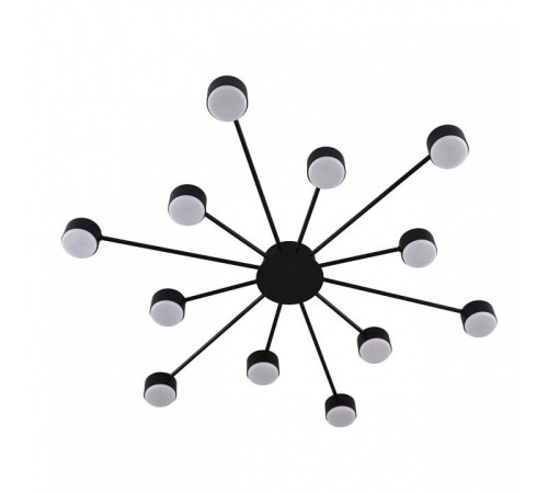 Потолочная люстра Lumion TORINA 8344/12C