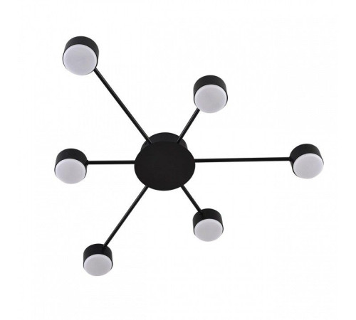 Потолочная люстра Lumion TORINA 8344/6C