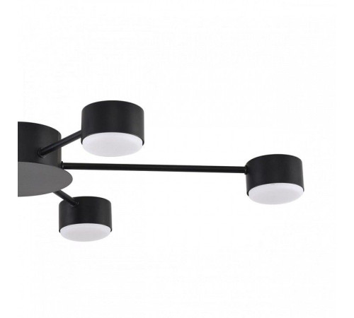Потолочная люстра Lumion TORINA 8344/6C