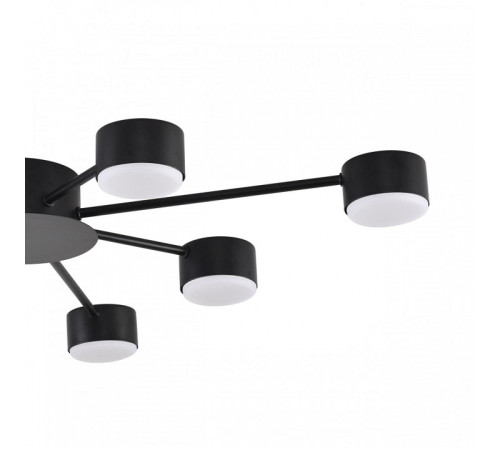 Потолочная люстра Lumion TORINA 8344/8C