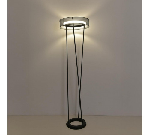 Торшер Lumion LEDIO 8370/30FL