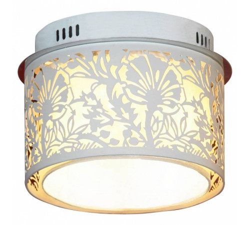 Накладной светильник Lussole Vetere LSF-2307-04