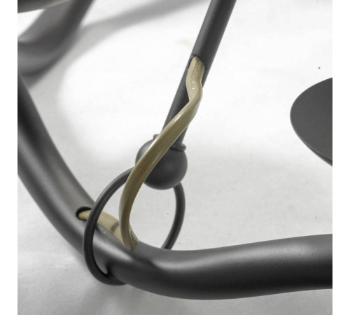 Люстра на штанге LGO Roosevelt LSP-0212