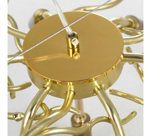 Подвесная люстра Lussole Adams LSP-8605