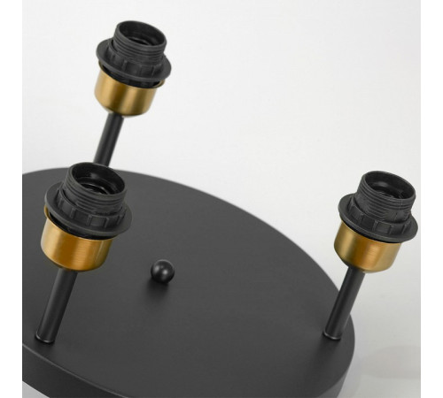 Потолочная люстра Lussole Mitchel LSP-8996