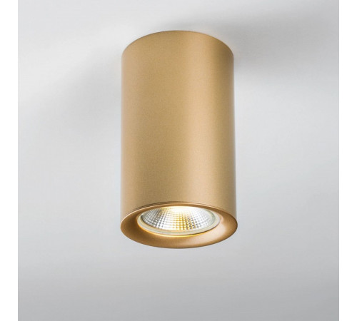 Рамка на 1 светильник Lightstar Rullo 204440