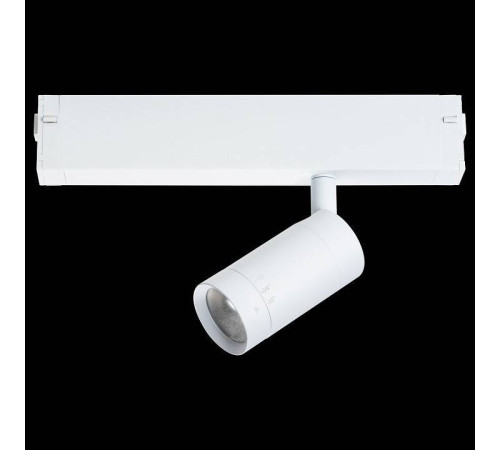 Светильник на штанге Lightstar Teta 205016