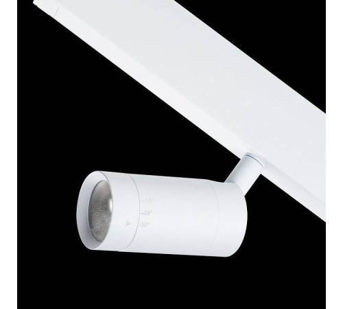 Светильник на штанге Lightstar Teta 205016