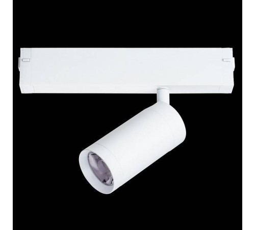 Светильник на штанге Lightstar Teta 205026