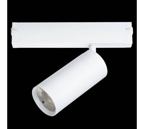 Светильник на штанге Lightstar Teta 205036