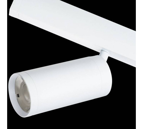 Светильник на штанге Lightstar Teta 205036